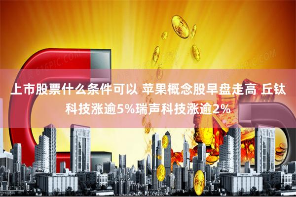 上市股票什么条件可以 苹果概念股早盘走高 丘钛科技涨逾5%瑞声科技涨逾2%