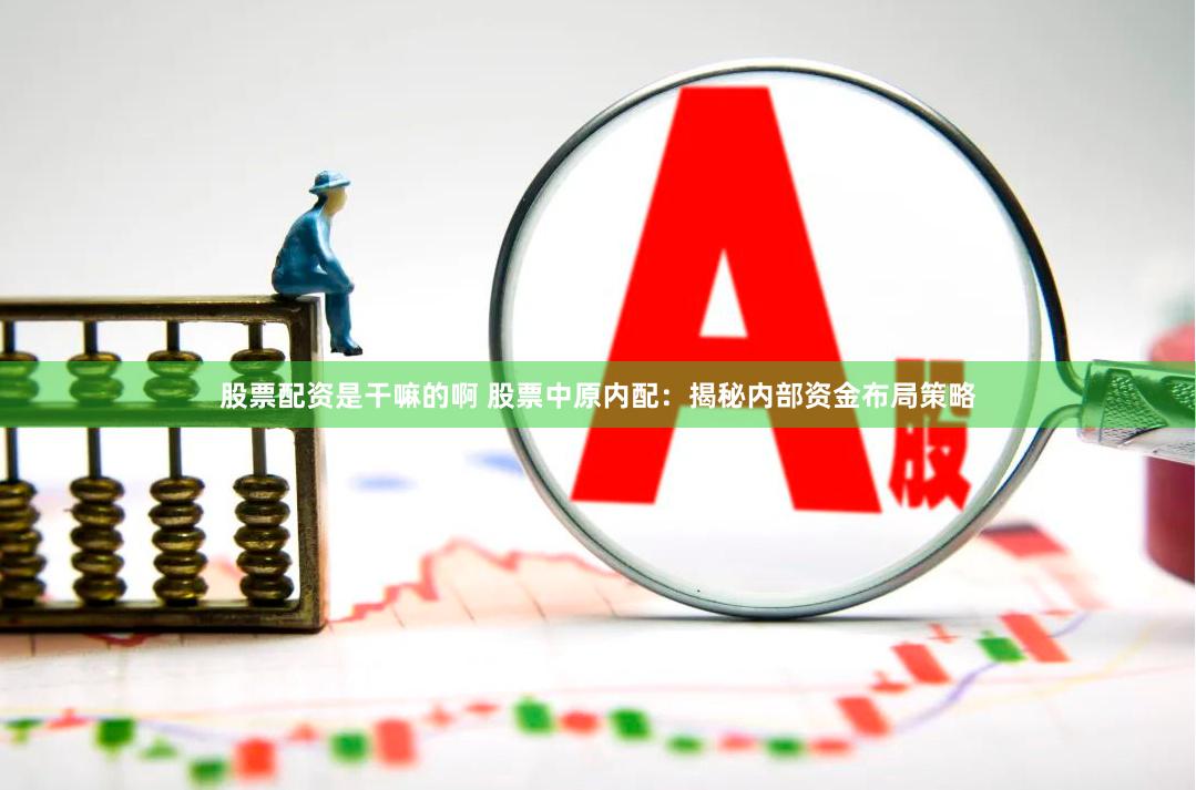 股票配资是干嘛的啊 股票中原内配：揭秘内部资金布局策略