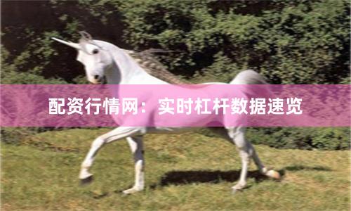 配资行情网：实时杠杆数据速览