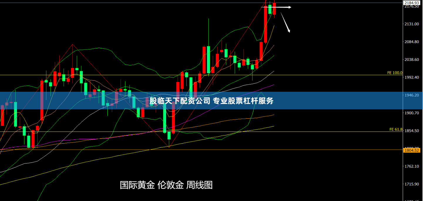 股临天下配资公司 专业股票杠杆服务